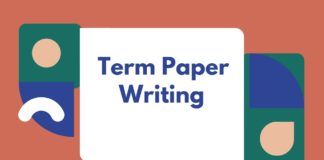Term Paper Writing