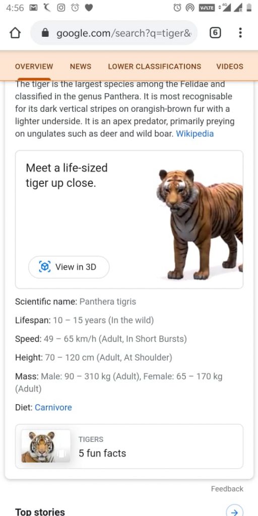How Google 3D Animal Animation Feature will help you to engage kids during  lockdown? – Indian people times