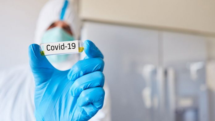 coronavirus vaccine