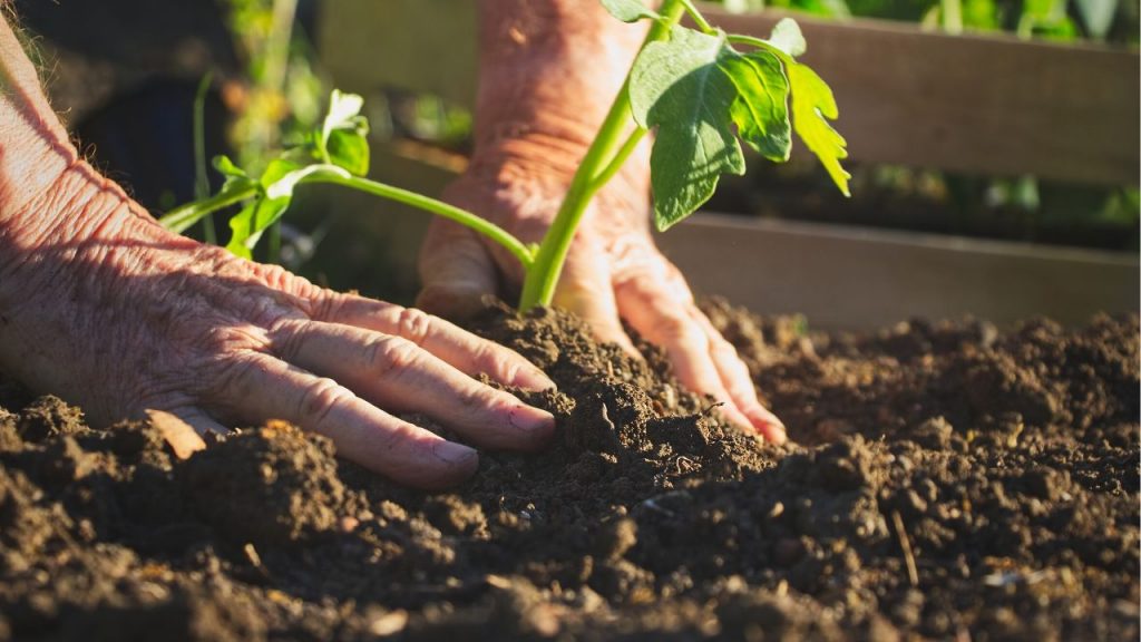 Gardening