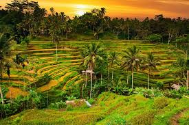 ubud