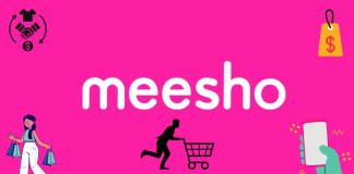 Meesho Success Story