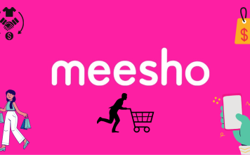 Meesho Success Story