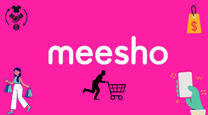 Meesho Success Story